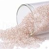 TOHO Round Seed Beads SEED-JPTR15-0106-1