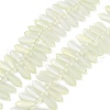 Electroplate Glass Beads Strands EGLA-C005-01A-FR02-1
