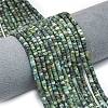 Natural African Turquoise(Jasper) Beads Strands G-P575-B20-4x2mm-1