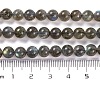Natural Gemstone Labradorite Round Beads Strands G-E251-33-6mm-01-3
