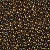 TOHO Round Seed Beads X-SEED-TR08-0459-2