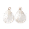 Natural Trochid Shell/Trochus Shell Pendants X-PALLOY-JF01393-1