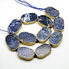 Oval Natural Sodalite Beads Strands G-N0119-01-1