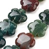Natural Indian Agate Beads Strands G-F769-K01-01-2