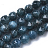 Natural Apatite Beads Strands G-N327-03A-02-1