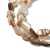Natural Seashell Beads Strands SSHEL-H072-14-3