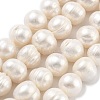 Natural Cultured Freshwater Pearl Beads Strands PEAR-C003-20C-2