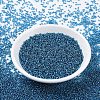 MIYUKI Round Rocailles Beads SEED-G007-RR0025-2