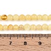 Natural Yellow Amber Beads Strands G-N351-04A-01-4