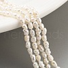Natural Keshi Pearl Cultured Freshwater Pearl Beads Strands PEAR-P062-21-1