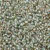 MIYUKI Round Rocailles Beads X-SEED-G009-RR3193-3