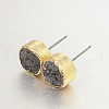 Flat Round Natural Druzy Agate Stud Earrings EJEW-L168-03C-1