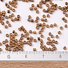 MIYUKI Delica Beads X-SEED-J020-DB0505-4