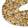Natural Crazy Lace Agate Beads Strands G-A260-A11-01-3