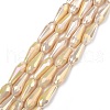 Electroplated Opaque Glass Beads Strands X-EGLA-L015-FR-B25-01-1