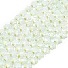 Opalite Beads Strands G-P573-C05-01-2