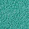 MIYUKI Round Rocailles Beads X-SEED-G008-RR0571-4