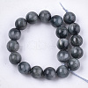 Natural Hawk's Eye Beads Strands G-S333-10mm-027-2