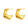 Stylish Stainless Steel Nuggets Stud Earrings NX6742-3
