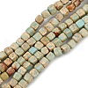 Natural Imperial Jasper Beads Strands G-V003-02-2