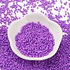 Baking Paint Glass Seed Beads X-SEED-S042-05B-72-2