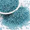 Cylinder Seed Beads SEED-H001-G14-1