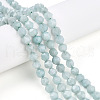 Natural Myanmar Jade/Burmese Jade Beads Strands G-T108-27A-01-1