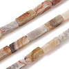 Natural Crazy Lace Agate Beads Strands G-G837-04-1