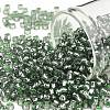 TOHO Round Seed Beads SEED-XTR08-2202-1