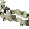 Prehnite Chip Bead Strands G-M205-11-3