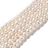 Natural Cultured Freshwater Pearl Beads Strands PEAR-E018-12-1