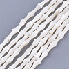 Freshwater Shell Beads Strands SHEL-T012-48-1