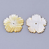 Natural Yellow Shell Beads SSHEL-T012-03-2