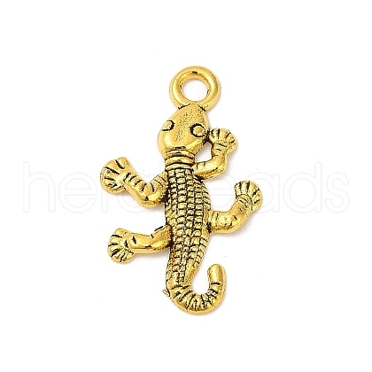 Tibetan Style Alloy Pendants GLF10906Y-1
