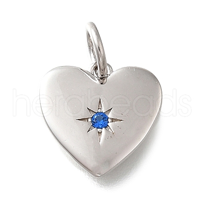 925 Sterling Silver Micro Pave Clear Cubic Zirconia Charms STER-V001-01P-09-1