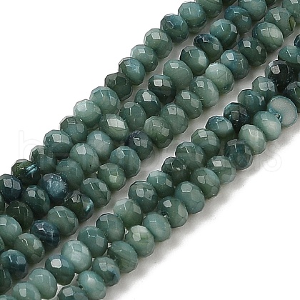 Natural Freshwater Shell Dyed Beads Strands SHEL-R100-13A-05-1