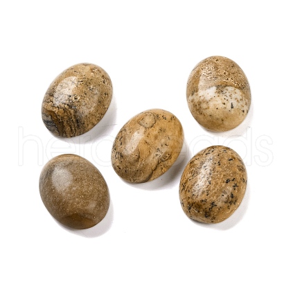Natural Picture Jasper Cabochons G-B085-06D-03-1