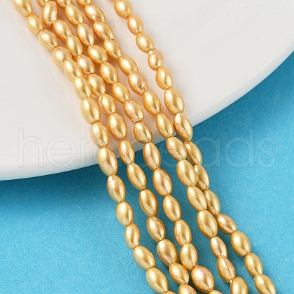 Electroplated Shell Pearl Beads Strands BSHE-Z009-10B-01-1