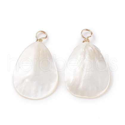 Natural Trochid Shell/Trochus Shell Pendants X-PALLOY-JF01393-1