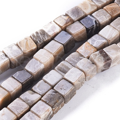 Natural Fossil Coral Beads Strands G-D0020-13A-1