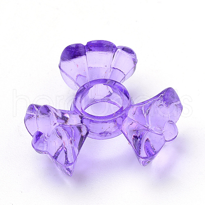 Transparent Acrylic Beads TACR-S124-03-1