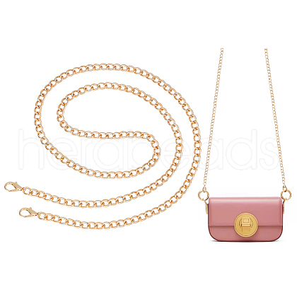 Iron Purse Long Chains FIND-WH0148-078B-G-1