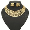Rose Pattern Alloy Crystal Rhinestone Pendant Necklaces & Hoop Earrings Sets FS-WGA3BB3-01-1