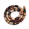 Natural Picasso Jasper/Polychrome Jasper Beads Strands G-N346-01B-05-3