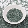 MIYUKI Delica Beads SEED-J020-DB2379-2