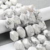 Natural Howlite Beads Strands G-C182-23-02-2