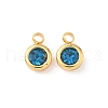 304 Stainless Steel Charms STAS-Z115-01G-14-1