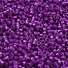 Baking Paint Glass Seed Beads SEED-S042-05A-29-3