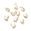 Natural Trochus Shell Pendants BSHE-E025-01LG-1