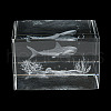 3D Laser Engraving Animal Glass Figurine DJEW-R013-01B-3